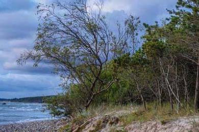 王者传奇手游，赚钱的乐趣与挑战