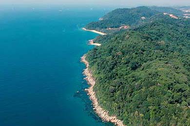 轩辕传奇手游中的邢木琴传奇